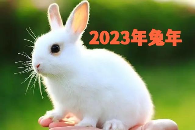 【兄輝噴涂】2023年，愿所有的美好都如約而至